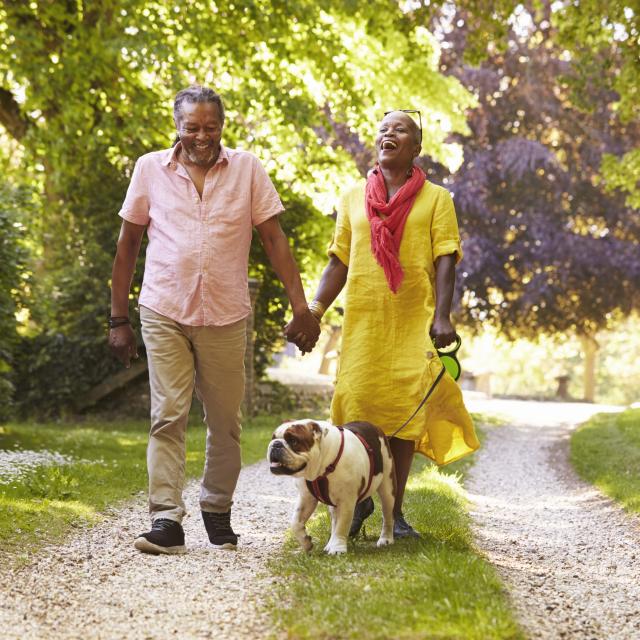 Couple walking their dog in rural/green landscape.